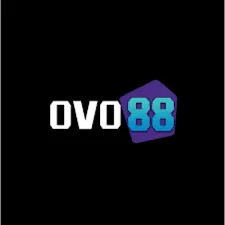 OVO88 - Aplikasi Utilitas Terbaik untuk Kebutuhan Harian Anda